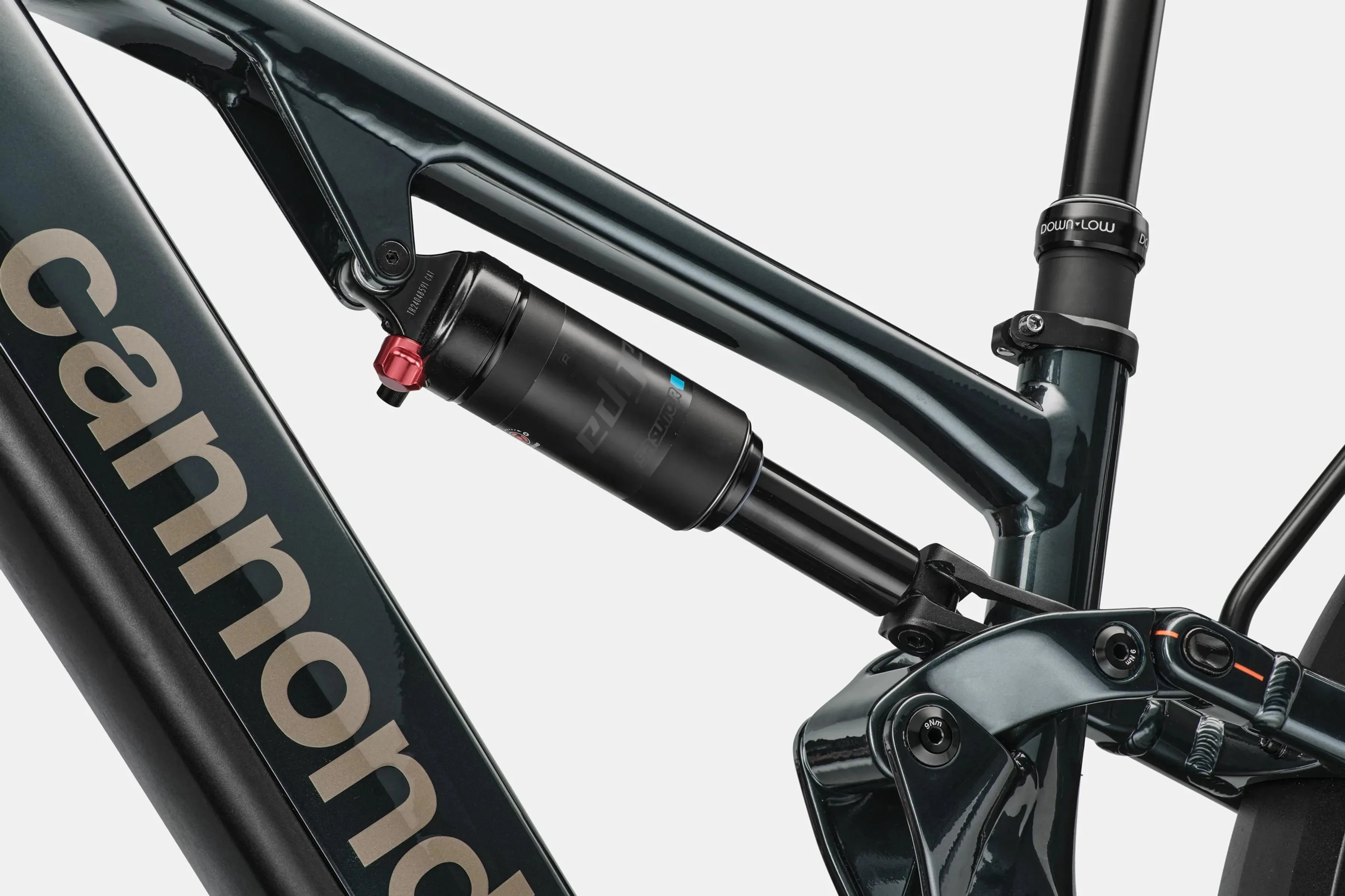 Cannondale Moterra EQ - Image 23