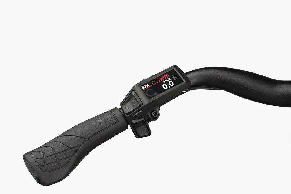 Riese & Müller Culture vario Testbike - Image 2