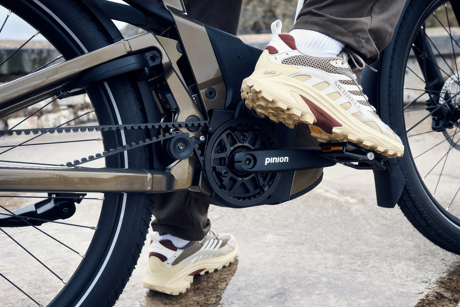 Riese & Müller Delite5 GT pinion Testbike - Image 2